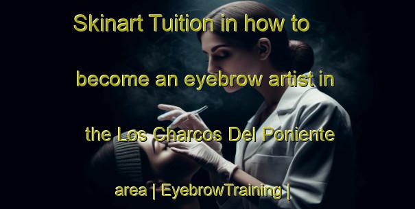 Skinart Tuition in how to become an eyebrow artist in the Los Charcos Del Poniente area | EyebrowTraining | EyebrowClasses | SkinartTraining-Mexico